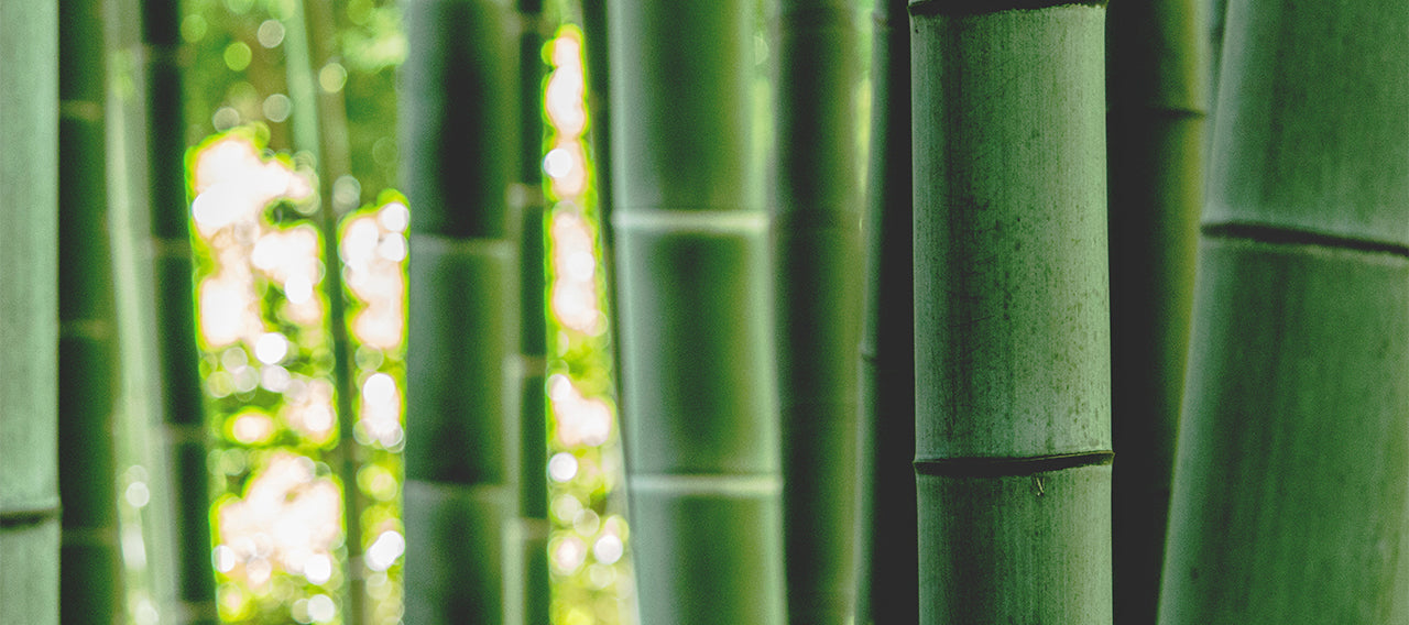 Bamboo Paper: A Sustainable Choice for Your Home