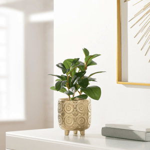 Clara Embossed Mandala Cereamic Footed Drop Pot Planter