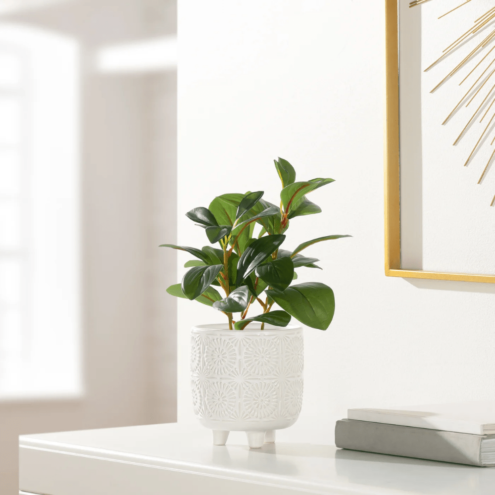 Clara Embossed Mandala Cereamic Footed Drop Pot Planter